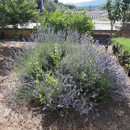 Apartament In With Terrace, Air Conditioning, Wi-fi 4440-3 Jelsa (Hvar)